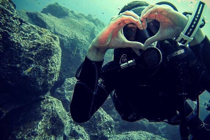 Scuba Diving Experience in Madeira - Who should book this Madeira experience?