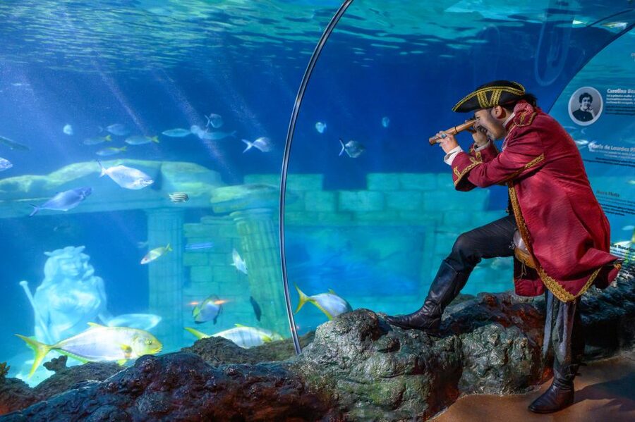 SEA LIFE Porto Full-Day Entrance Ticket - Reaching the aquarium at Castelo do Queijo