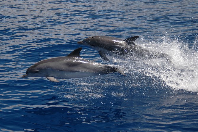 Seaborn Catamaran trips - Crew service and the responsible approach