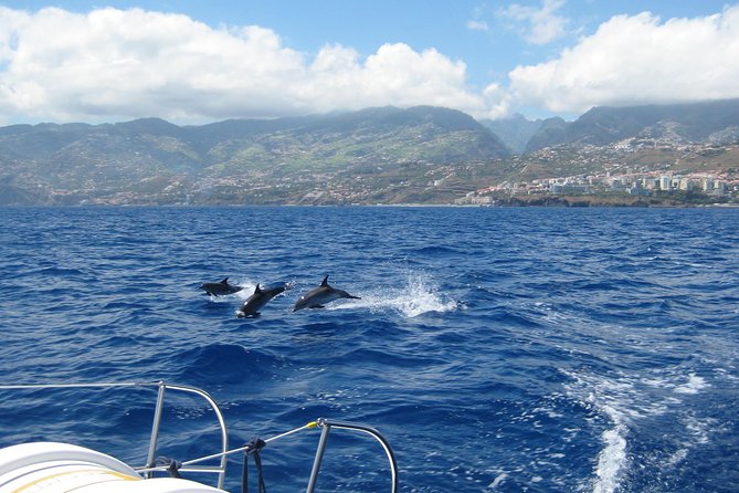 Seaborn Catamaran trips - Cabo Girão from below