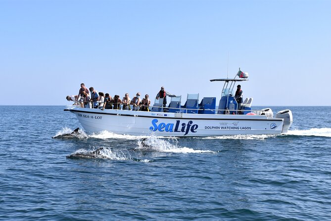 Sealife Sea Safari, Dolphin Watching with Marine Biologist's Lagos - Key points to know before booking