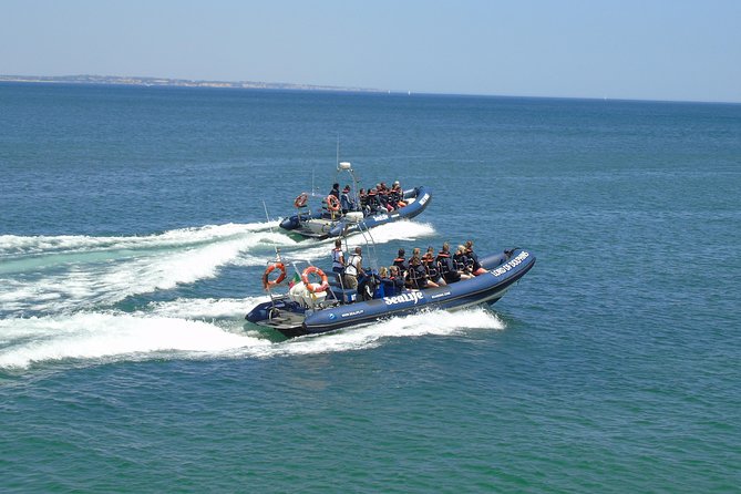 Sealife Sea Safari, Dolphin Watching with Marine Biologist's Lagos - Is $48.39 good value for 90 minutes?