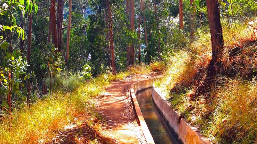 Serra de Água Valley Levada Walk - Key points to know before booking