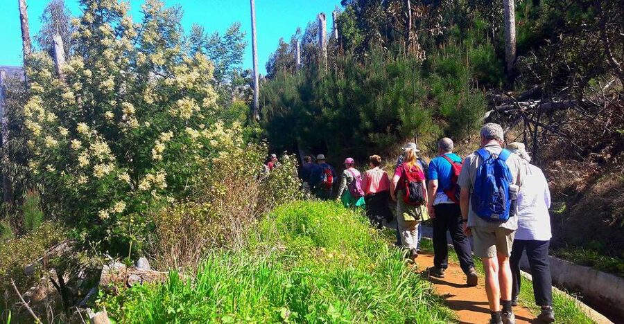 Serra de Água Valley Levada Walk - Walking beside the levada