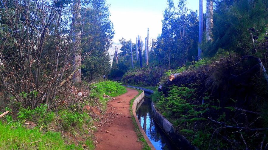 Serra de Água Valley Levada Walk - How easy is the trail?