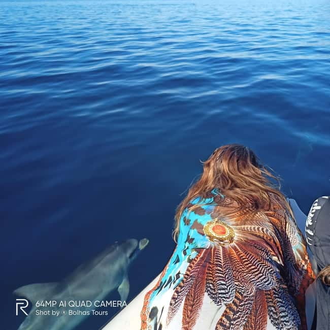 Sesimbra: Dolphin Watching Boat Tour with Biologist Guide - Who should book this Sesimbra boat tour?