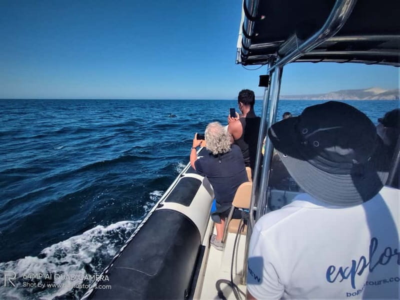 Sesimbra: Dolphin Watching Boat Tour with Biologist Guide - Searching for dolphins off the Arrábida coast