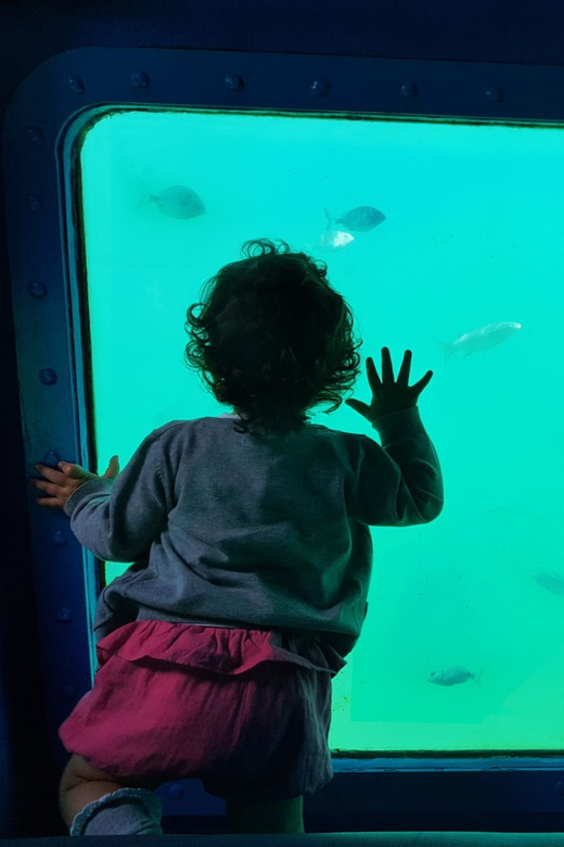 Sesimbra: Family Friendly Boat Sea Tour w/ Submarine Vision - Mula Bay and the first scenic pauses