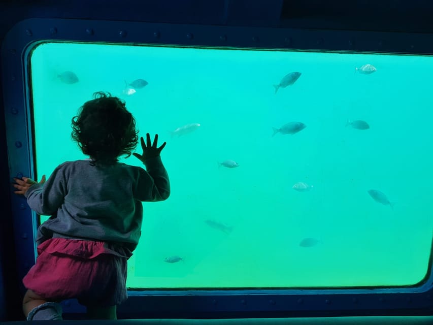 Sesimbra: Family Friendly Boat Sea Tour w/ Submarine Vision - Boca do Tamboril Cave and Praia da Mijona