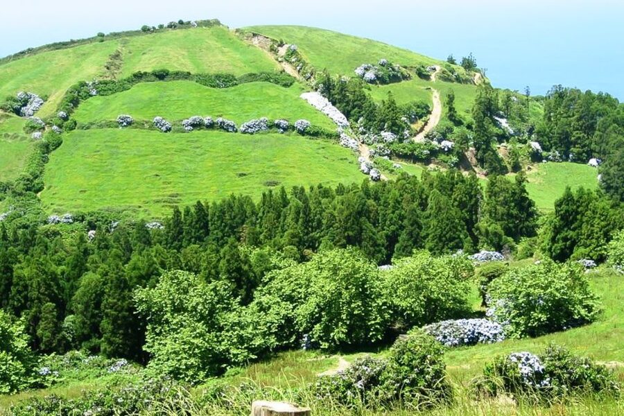 Sete Cidades Azores 4x4 Day Tour from Ponta Delgada - Coastal fumaroles finish the volcanic story