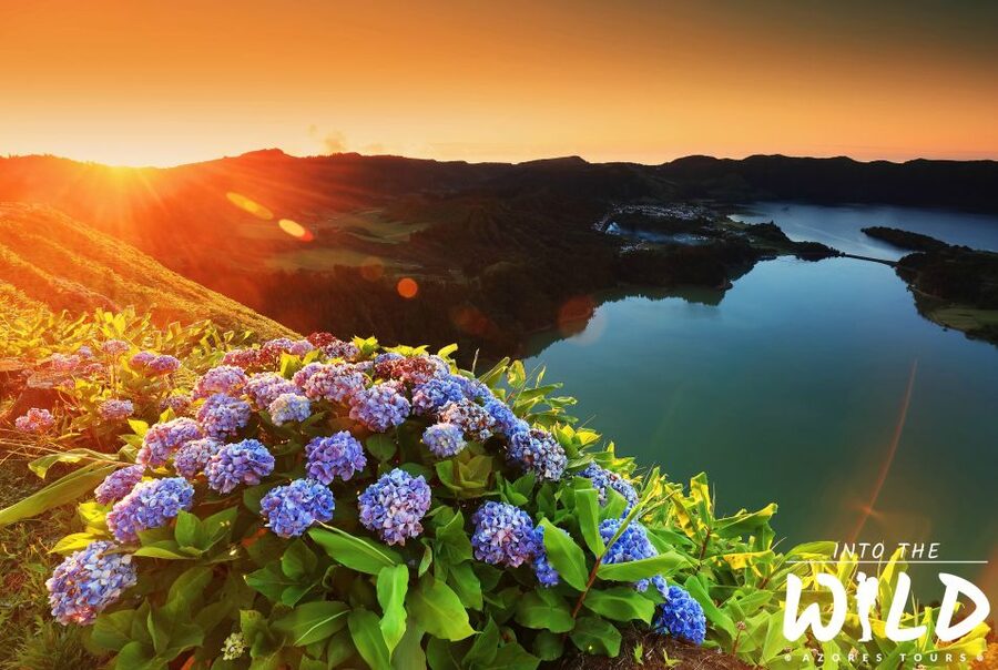 Sete Cidades & Lagoa do Fogo - Full-Day Tour - Grota do Inferno: a short walk to a famous view