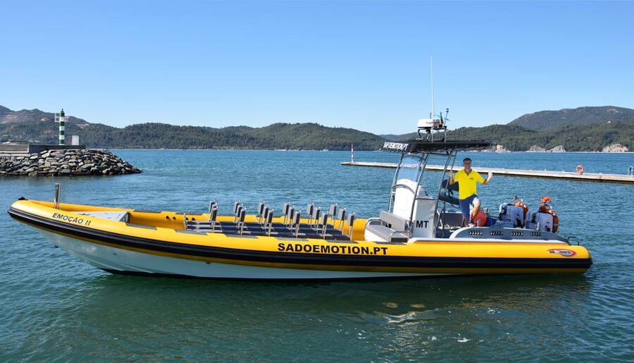 Setúbal and Tróia: Dolphin Watching and Arrábida Bays - Should you book the Sado Emotion tour?