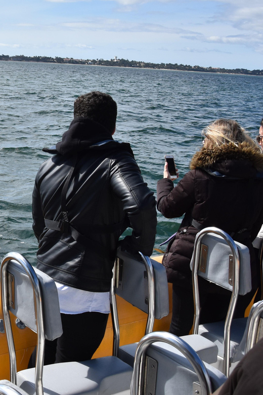 Setúbal and Tróia: Dolphin Watching and Arrábida Bays - Cruising the Arrábida bays after the wildlife stop