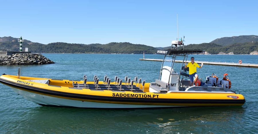 Setúbal and Tróia: Dolphin Watching and Arrábida Bays - Setúbal or Tróia: choosing your starting point