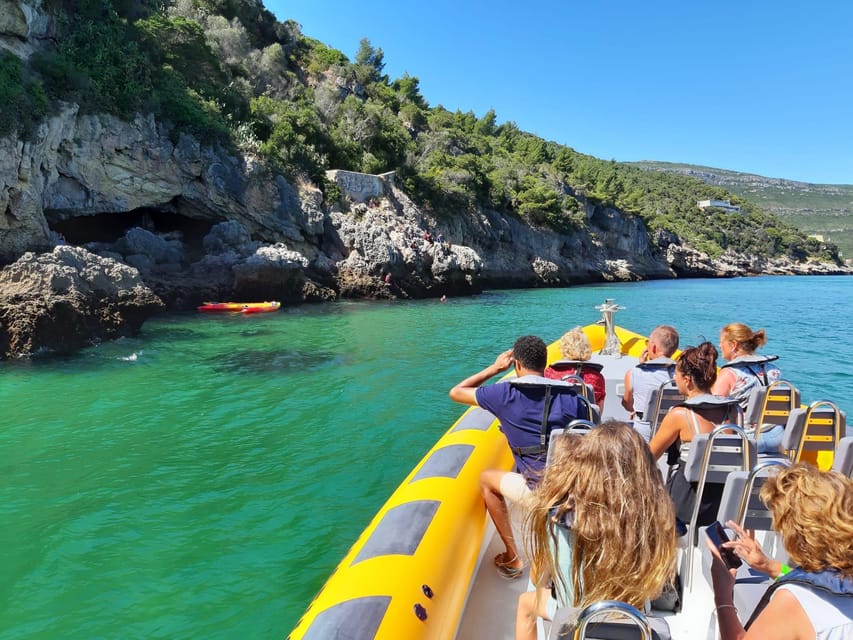 Setúbal and Tróia: Dolphin Watching and Arrábida Bays - Who will get the most from this $53 experience?