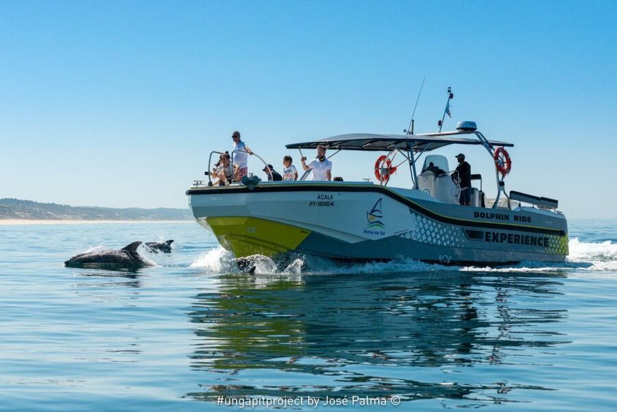 Setúbal: Dolphin-Watching Boat Tour - Leaving Setúbal through the Sado River