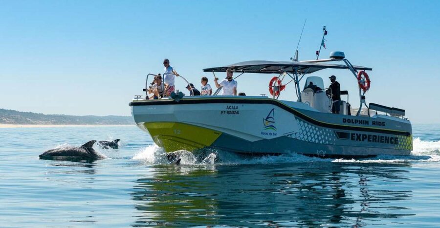Setúbal: Dolphin-Watching Boat Tour - What the dolphin encounter may feel like