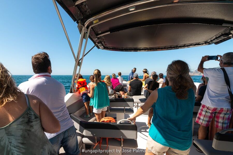 Setúbal: Dolphin Watching Boat Tour - Who will enjoy this boat trip most?