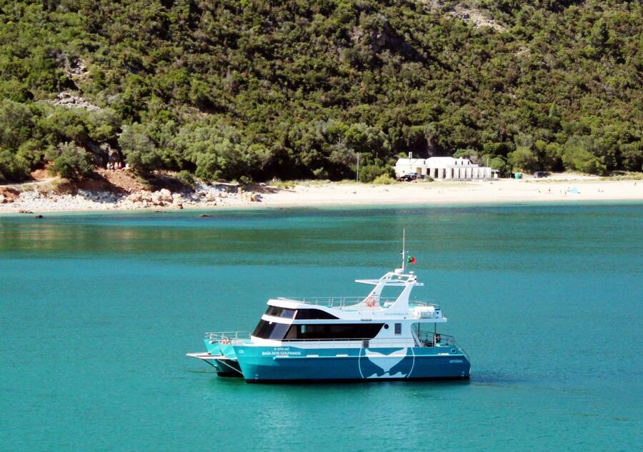 Setúbal: Dolphin Watching Tour - Key points to know before booking