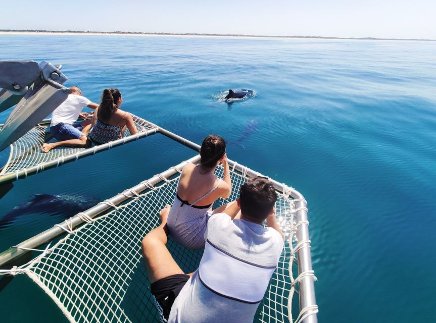 Setúbal: Dolphin Watching Tour - The crew’s approach to marine life
