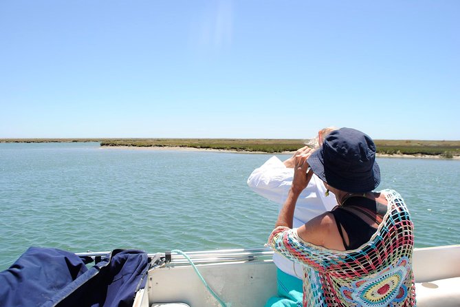 Short boat trip of the Algarve's Ria Formosa lagoon from Faro: 1 hour - Setting out from Faro’s Nautical Club