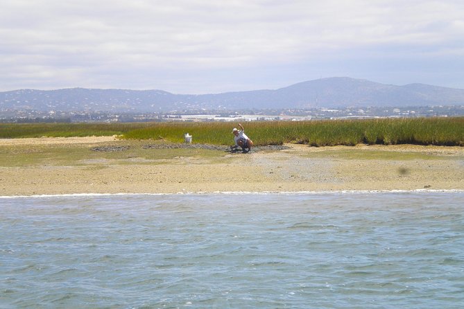 Short boat trip of the Algarve's Ria Formosa lagoon from Faro: 1 hour - Why the live commentary matters