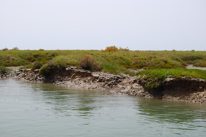 Short boat trip of the Algarve's Ria Formosa lagoon from Faro: 1 hour - The lagoon’s salt marshes and birdlife