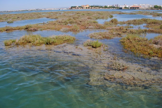 Short boat trip of the Algarve's Ria Formosa lagoon from Faro: 1 hour - Is $30.17 good value for one hour?