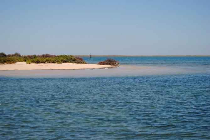 Short boat trip of the Algarve's Ria Formosa lagoon from Faro: 1 hour - Who should book this Faro boat trip?