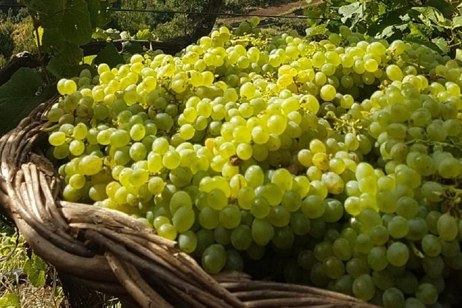 Signature Wine Tastings, Skywalk, Nature 4x4 Open Roof Expedition - Is $107.68 a fair price?
