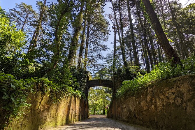Sintra-Cascais-Pena Palace 8-People Small Group Tour from Lisbon - Colares and the road to the Atlantic