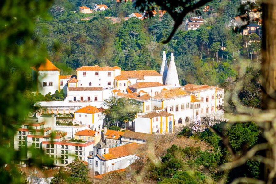 Sintra: Full-Day Private Tour & Pena Palace Entry Option - Price, inclusions, and the real value