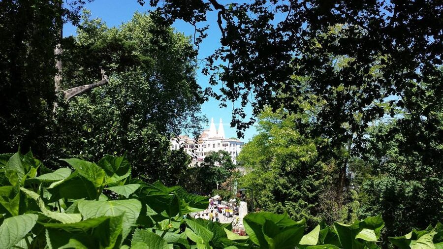 Sintra: Full-Day Tour from Lisbon with Wine Tasting - Sintra Village, Fountains, and Moorish Walls