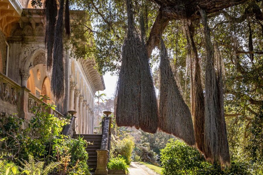 Sintra: Monserrate Palace & Park Ticket - Key points to know before you go
