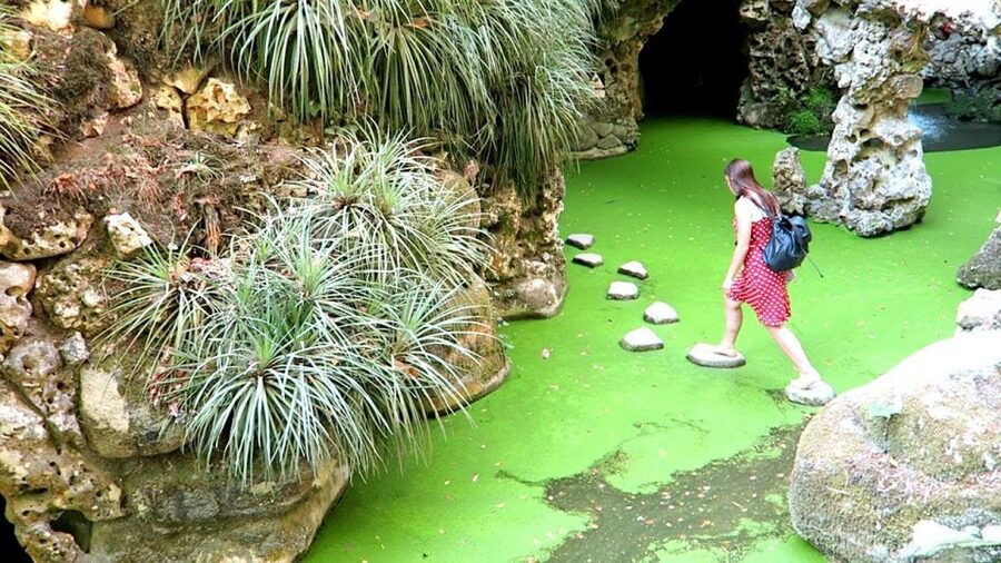 Sintra: Quinta da Regaleira Entry Ticket and Guided Tour - What the guides add to the experience