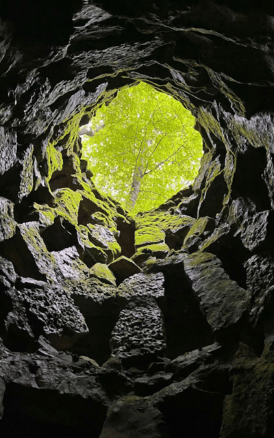 Sintra: Quinta da Regaleira Entry Tickets with Host - The Chapel and the Park’s Gothic Mood