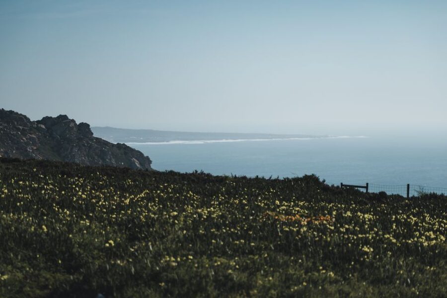 Sintra: Regaleira, Cabo da Roca and Cascais Jeep Safari Tour - Sintra-Cascais Natural Park and the road to Cabo da Roca
