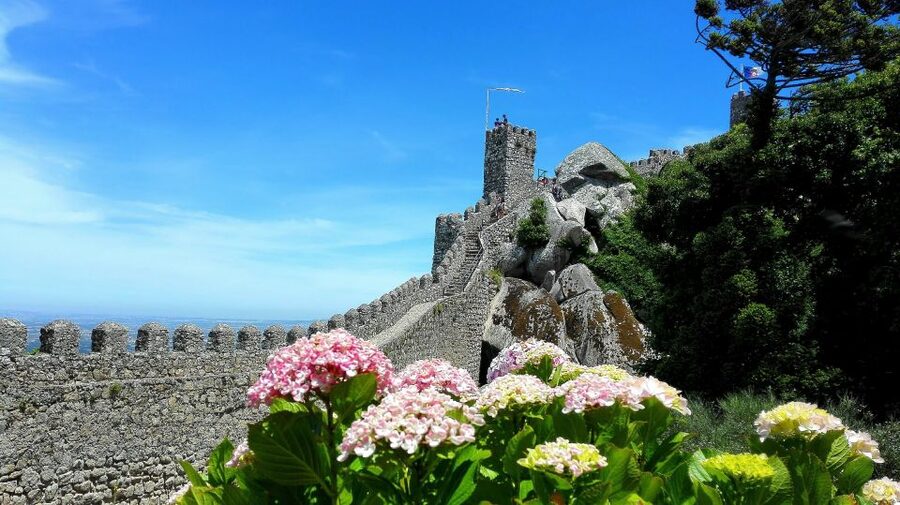 Sintra: Truly Private Tour to Pena Palace & Regaleira - Practical advice for a better day