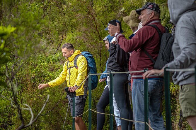 Skywalk 4x4 Experience and Rabacal 25 Fountains Levada Walk - Why this tour works well in Madeira