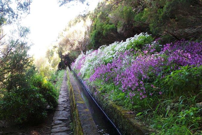 Skywalk 4x4 Experience and Rabacal 25 Fountains Levada Walk - Lunch at the mountain restaurant