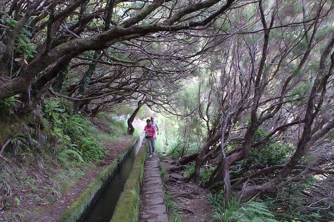 Skywalk 4x4 Experience and Rabacal 25 Fountains Levada Walk - Guides make a real difference