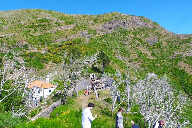 Skywalk, Amazing Views & Wine Tasting in Open Roof 4x4 Adventure - Is $54.44 good value?