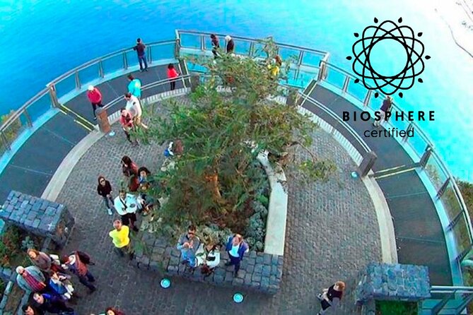 Skywalk, Amazing Views & Wine Tasting in Open Roof 4x4 Adventure - Cabo Girão puts you over the Atlantic