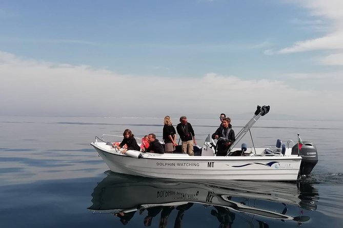 Small Group Dolphin and Wildlife Watching Tour in Faro - Key points before you book