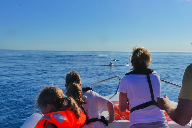 Small Group Dolphin and Wildlife Watching Tour in Faro - Starting at Faro’s Ginásio Clube Naval