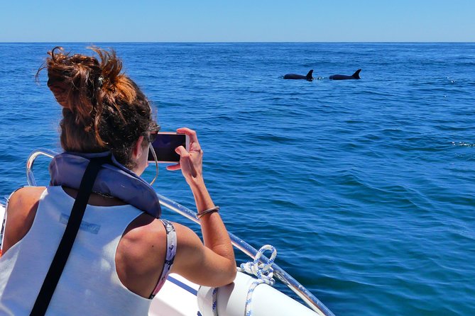 Small Group Dolphin and Wildlife Watching Tour in Faro - Who will enjoy this Faro boat tour most?