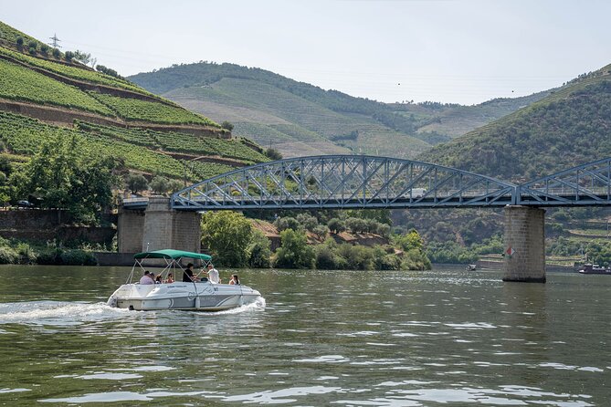 Small Group Douro Valley Wine Tour with Lunch and Cruise - Leaving Porto for Amarante