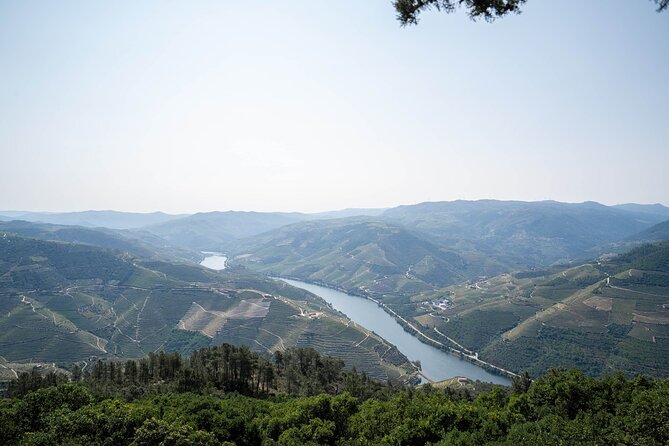Small Group Douro Valley Wine Tour with Lunch and Cruise - Guides make or break a long day