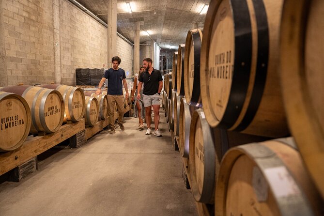 Small Group Douro Valley Wine Tour with Lunch and Cruise - Who should book this day trip?