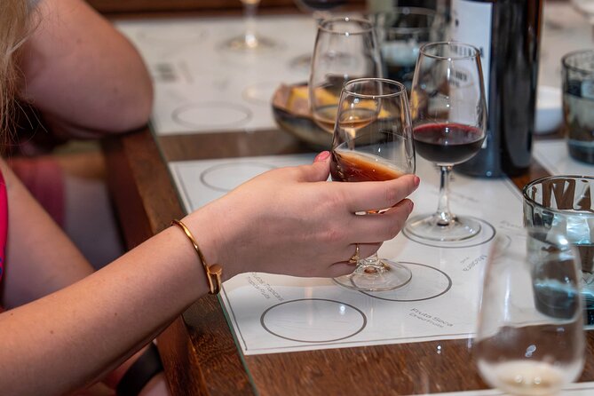 Small Group Douro Valley Wine Tour with Lunch and Cruise - The Douro Valley arrives in terraces and bends